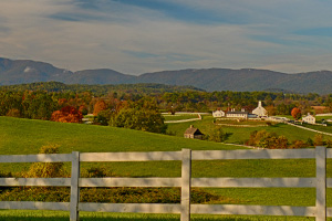 Albemarle County VA Farms for Sale