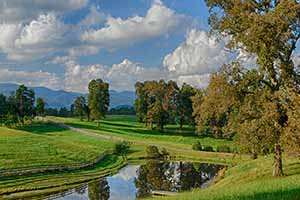 Greene County Va Farms for Sale
