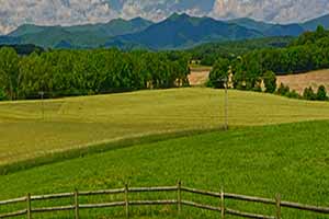 Madison County Virginia Farms for Sale