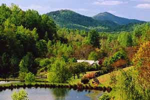 Land in VA for Sale