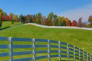 Orange Virginia  Farms for Sale