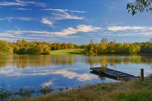 Farm in Louisa County VA for Sale