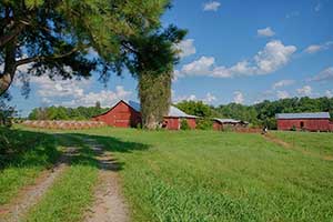 Farm in Orange County VA for Sale